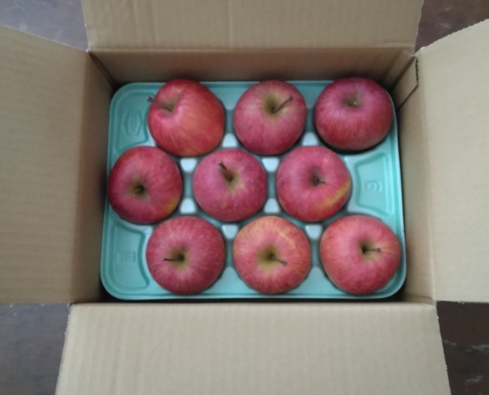 箱に詰めれたふじりんご9個。