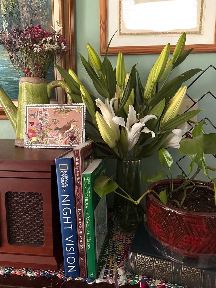 A cherry wood table with a multicolored hand woven runner has decorative items such as books leaning against a cherry wood record player and a deep maroon ceramic planter which houses a trailing philodendron. On top of the record player a green ceramic decorative pitcher has some dried purple, pink and white sea lavender inside, a handmade birthday card resting against it, and a tall green glass vase with a gold rim has an arrangement of fresh white lilies waiting to bloom. 