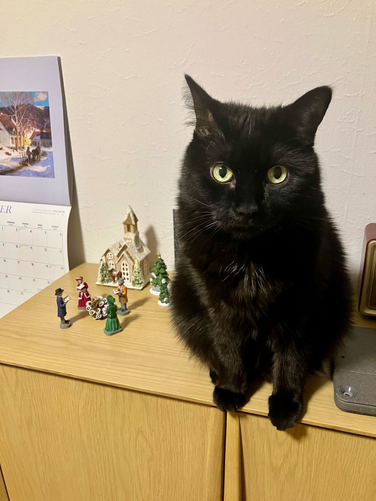 Guinness the black cat sitting on a cabinet beside a small display of Christmas figurines. By his tilted ears, he is restraining some destructive urges. 