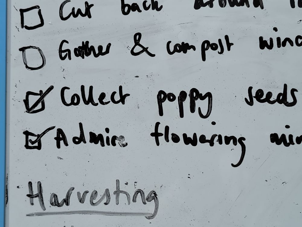 Photo of a tasks list on a white board. 

Cut back around raised beds
Gather and compost windfall apples 
Collect poppy seeds 
Admire flowering mint