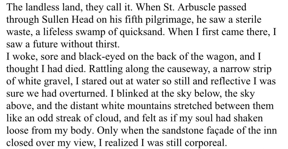 The landless land, they call it. When St. Arbuscle passed through Sullen Head on his fifth pilgrimage, he saw a sterile waste, a lifeless swamp of quicksand. When I first came there, I saw a future without thirst.
I woke, sore and black-eyed on the back of the wagon, and I thought I had died. Rattling along the causeway, a narrow strip of white gravel, I stared out at water so still and reflective I was sure we had overturned. I blinked at the sky below, the sky above, and the distant white mountains stretched between them like an odd streak of cloud, and felt as if my soul had shaken loose from my body. Only when the sandstone façade of the inn closed over my view, I realized I was still corporeal.
