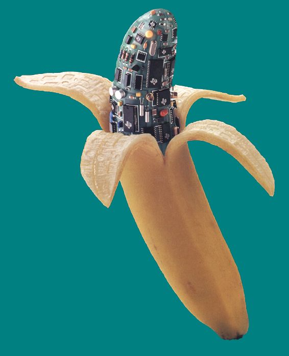a banana peeled but its a circuit board with Texas Instrument components