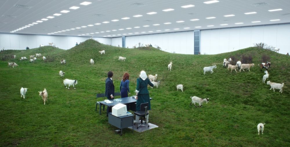 A picture of the Mammalians Nurturable office in Severence. Inside a large warehouse type space with a white ceiling studded with halogen lights, is an undulating grass-covered field full of goats, and in the middle, a small office desk and workstation and three people.
