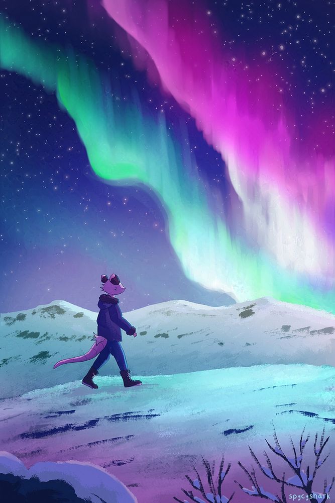 A snowy scene. An anthropomorphic opossum wearing a coat is walking in the snow. Behind them is a snow covered mountain range. They are looking at the sky which has two large rays of northern lights. There are stars in the background. In the foreground there is a snow covered rock and two bushes missing their leaves. 