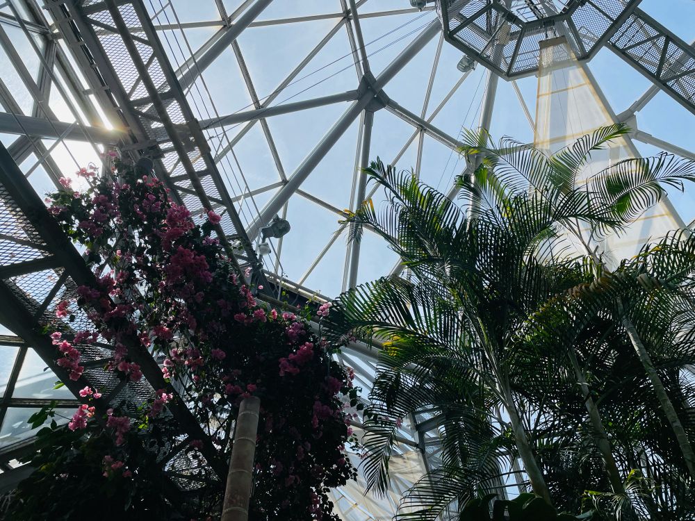 温室が広さに対して凄く充実した色取り取りの植物たち！