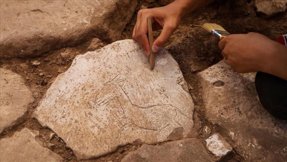 New Discovery at Karahan Tepe: The Figure of a Running Wild Donkey Carved on Stone