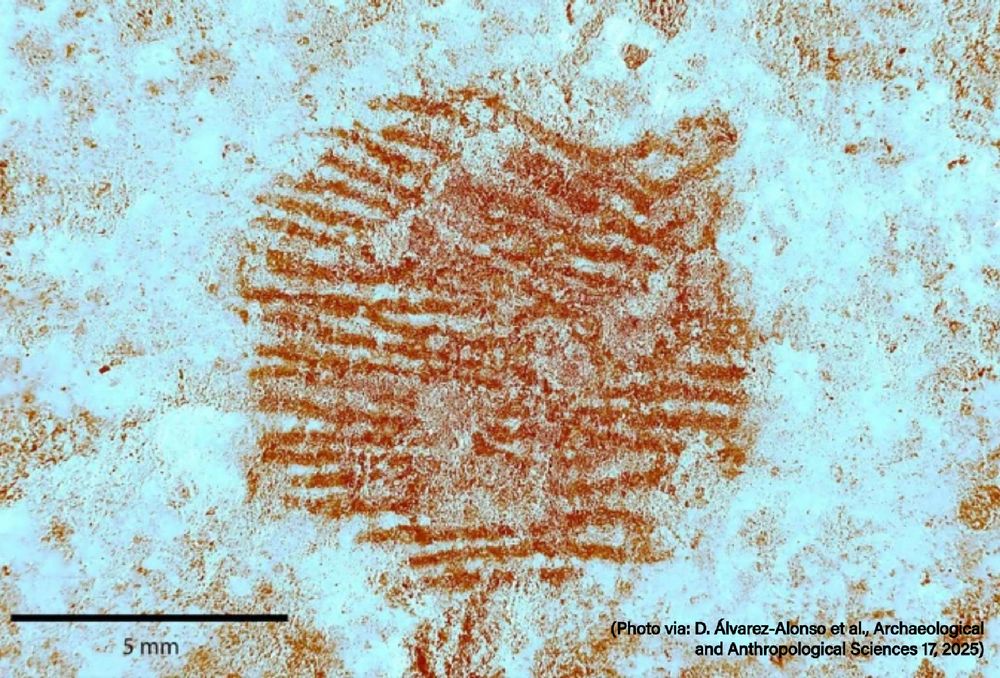Photo of a fingertip's print in red colour.