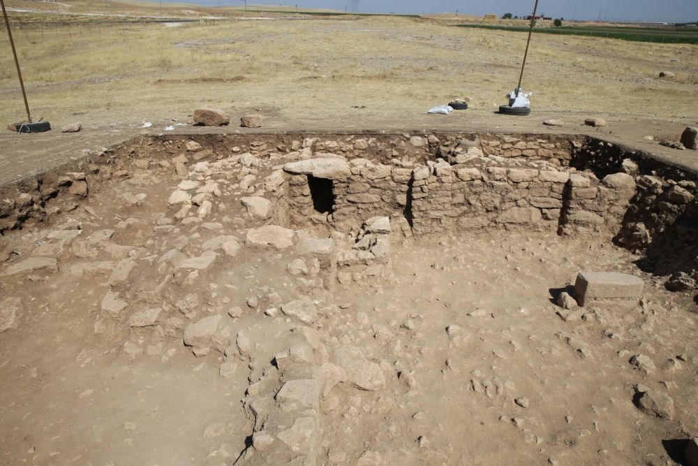 Neolithic era human skull discovered in Türkiye's Sefertepe - Türkiye Today