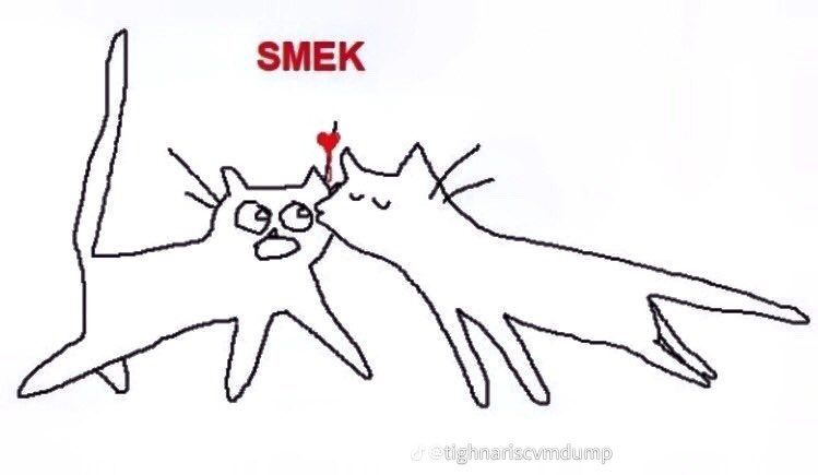 two sketchily drawn cats. one of them is closing its eyes and kissing the other on the cheek. the other one looks surprised and its tail is straight up. "SMEK" is written above in red font.