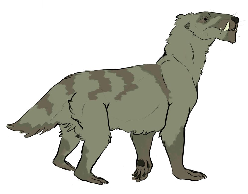 This won't be her final look, her tail and head will be changing, though she will still maintain a gorgonopsid-like appearance 