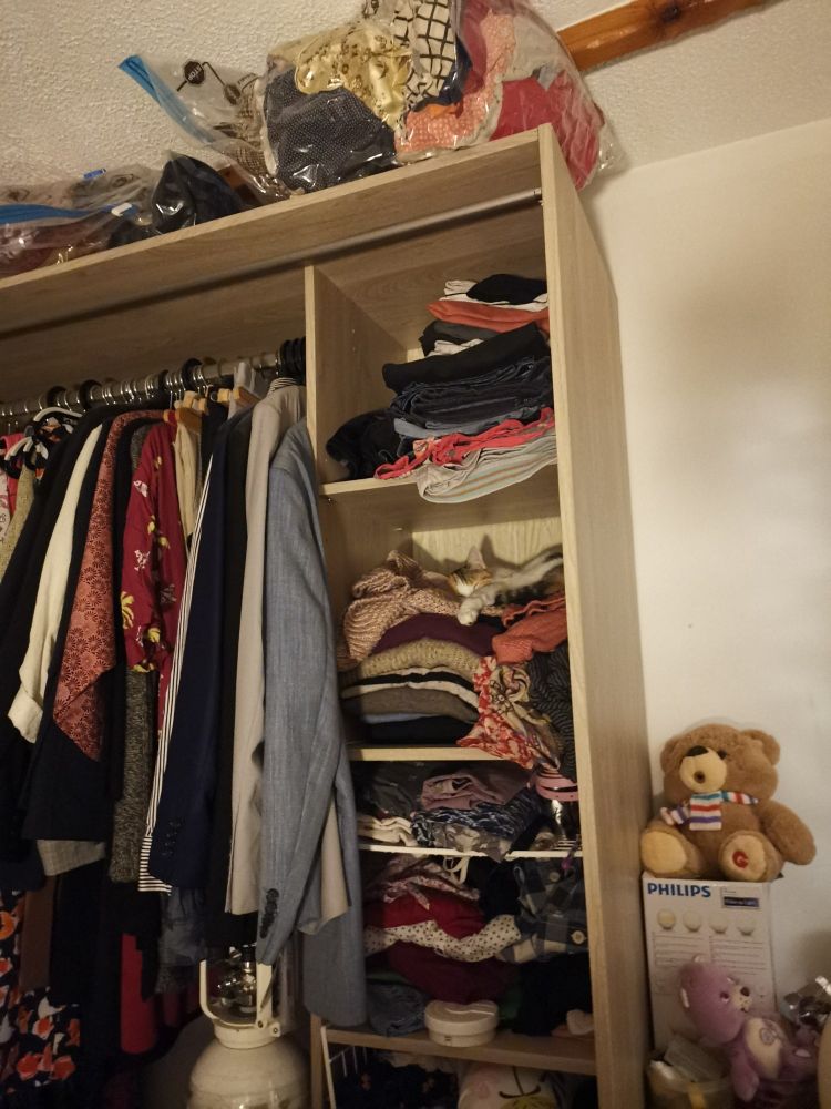 Mon chat Suzy qui pique un roupillon dans mon "dressing" en zbeul comme d'habitude et l'ours Grumly qui trône sur un carton sur ma table de nuit