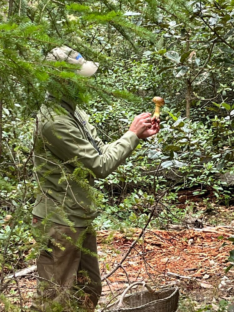 Man holding up a mushroom in the forest and pointing out features.