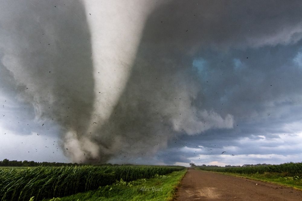 Photo of a tall, backlit, and violent stovepipe tornado lifting debris in the air over a road and cornfields west of Watertown, South Dakota on July 27, 2025.