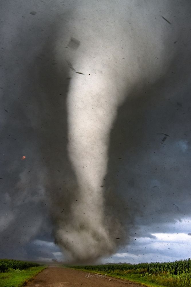 Photo of a tall, backlit, and violent stovepipe tornado lifting debris in the air over a road and cornfields west of Watertown, South Dakota on July 27, 2025.