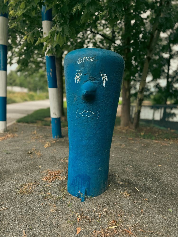 A blue pole with a
Face drawn in it. 