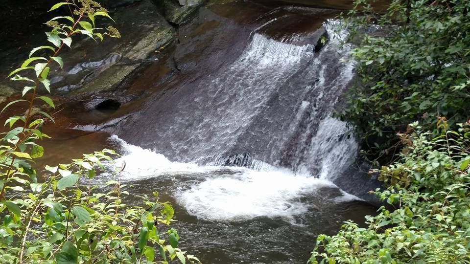 Water slides down the face of a rock into a pool below. The area is surrounded by trees and bushes. 