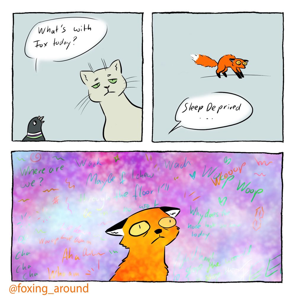 Three panels of a comic
In the first panel a pigeon is asking an annoyed looking cat “what’s with fox today?”
The second panel shows a fox in the distance, hunched over with fur bristling. A speech bubble says “sleep deprived…”
Third panel shows the fox in a blurred purple and green cloud, wide eyed and disoriented. Hard to read words, doodles, and sound effects surround it without much cohesion. The fox is overwhelmed and has thoughts going nowhere before fading away