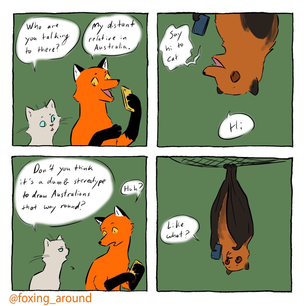 Four panel comic, featuring a red fox, a grey cat, and a flying fox
Panel 1:
Cat: “who are you talking to there?”
Fox, holding a phone: “my distant relative in Australia”
Panel 2:
Fox, speaking from a phone: “say hi to cat!”
The face of a fox, upside down: “hi”
Panel 3:
Cat: “don’t you think it’s a dumb stereotype to draw Australians that way?”
Fox: “huh?”
Panel 4:
Zoomed out view on the upside down fox, revealing that it’s a flying fox so it’s upside down because of this, not because of a joke about Australians being upside down
Flying fox: “like what?”