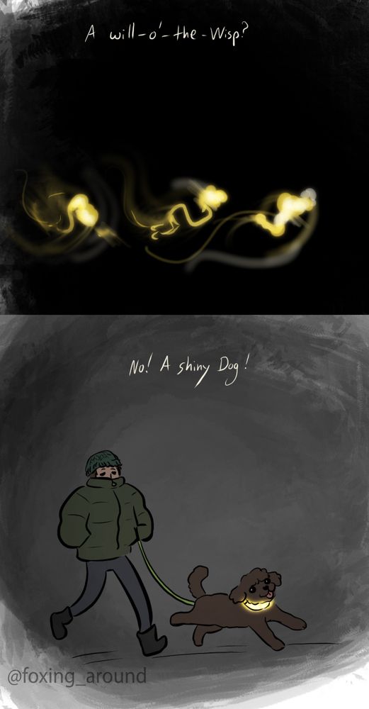 A comic in two panels. The first is solid black with blurred dancing lights. The words say “a will-o’-the-wisp”?
The second panel is a dark grey, showing a person in a big jacket and a dog on a lead. The dog has a glowing lit up collar, the words say “no! A shiny dog!”