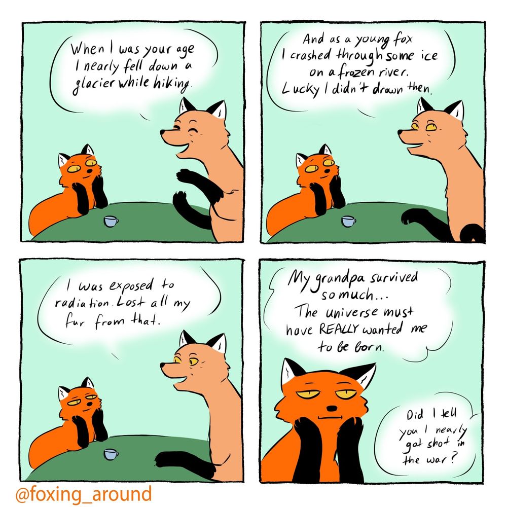 A four panel comic of a red fox sitting with its head leaning on its paws. It is listening to a bigger and older fox with paler fur
Panel 1
Old fox: “when I was your age I nearly fell down a glacier while hiking”

Panel 2:
Old Fox: “as a young fox I crashed through some ice on a frozen river. Lucky I didn’t drown then”

Panel 3:
Old Fox: “i was exposed to radiation. Lost all my fur fron that.”

Panel 4:
Young fox thinking: “my grandpa survived so much… the universe must have REALLY wanted me to be born”
Old Fox off screen: “did i tell you I nearly got shot during the war?”