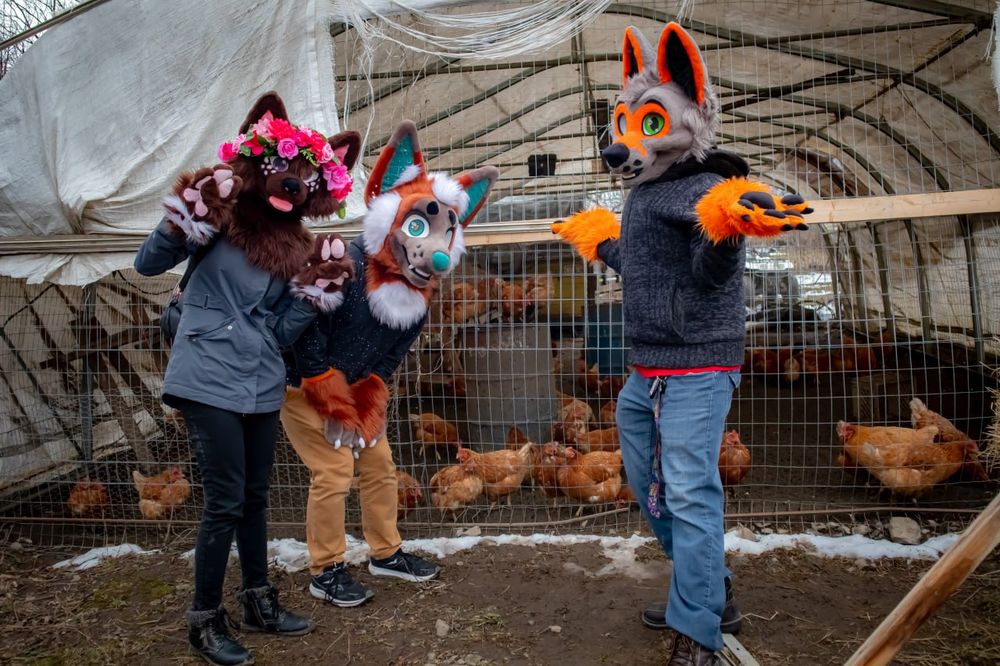 Furries standing before chickens at the 2024 event.