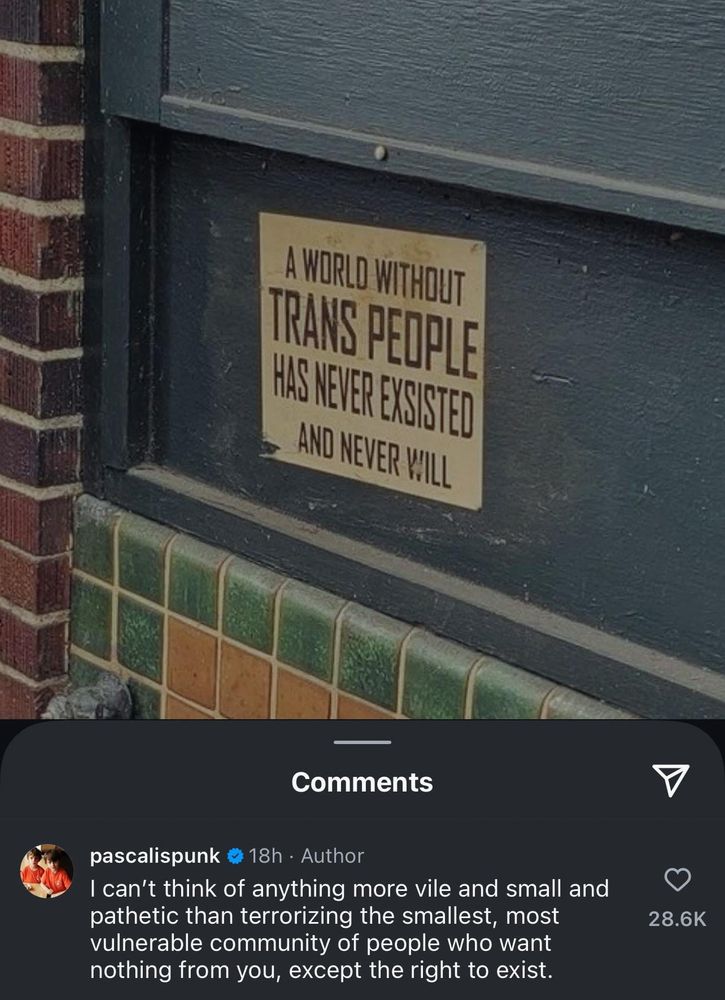(Text on wall) A world without trans people has never existed and never will