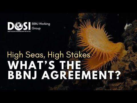 High Seas, High Stakes: What’s the BBNJ Agreement?