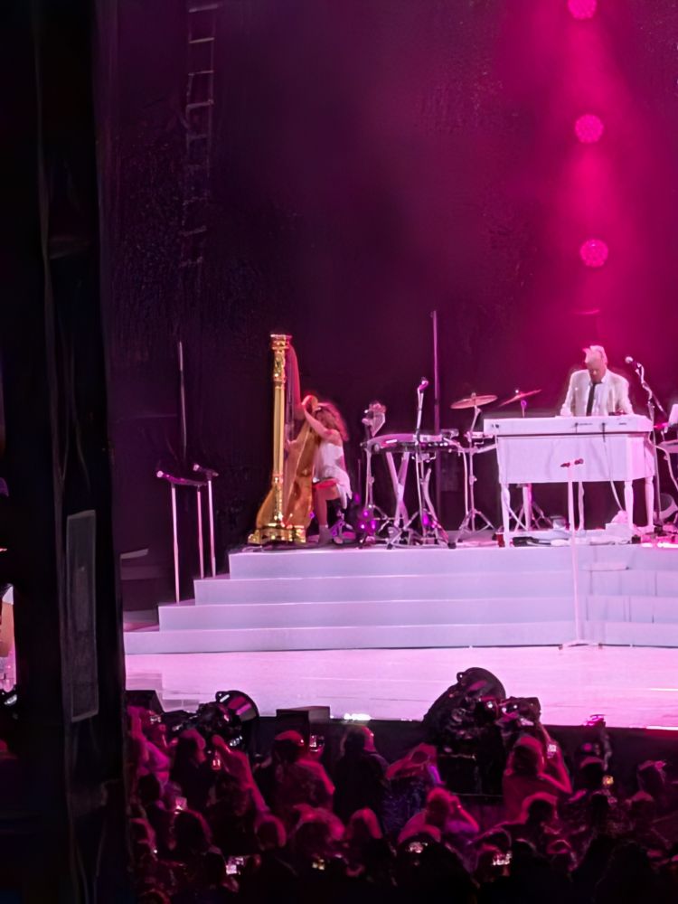 Lady playing a harp on stage at a Rod fucking Stewart show. 