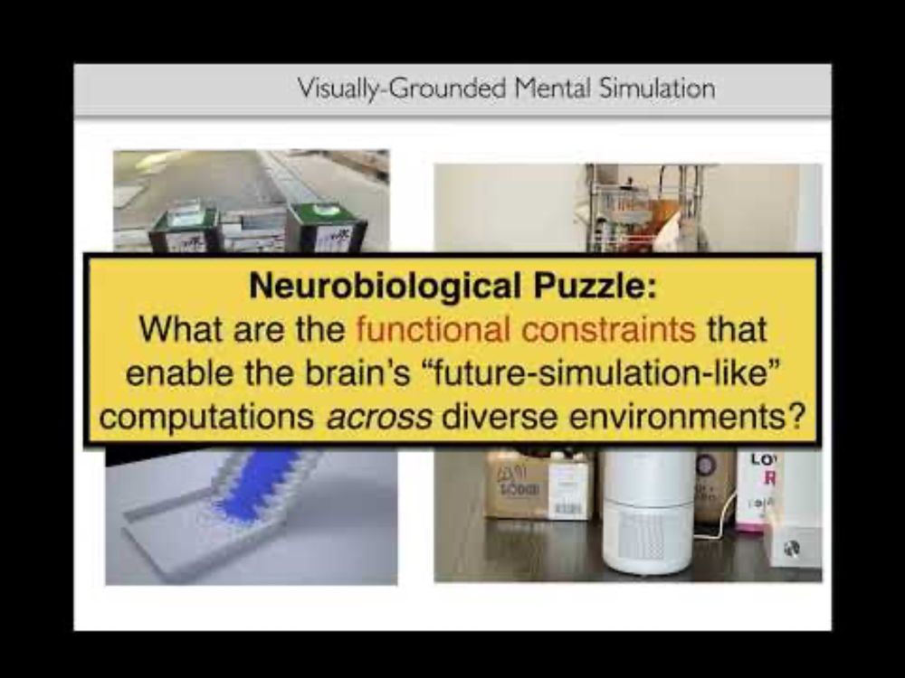 Aran Nayebi: Why NeuroAI Needs NeuroAgents