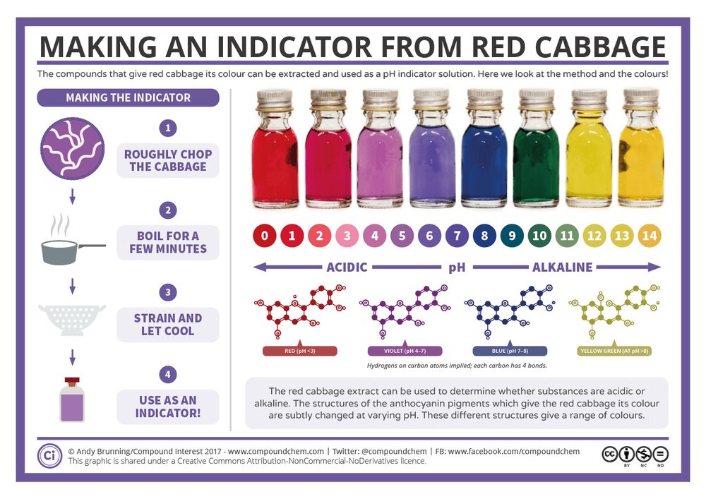 Infographic on making a pH indicator from red cabbage. The indicator can be made by roughly chopping cabbage, boiling, straining, and collecting the liquid. The extract contains anthocyanin pigments which give different colours in solutions of different pH, ranging from red, through purple, to green and yellow.