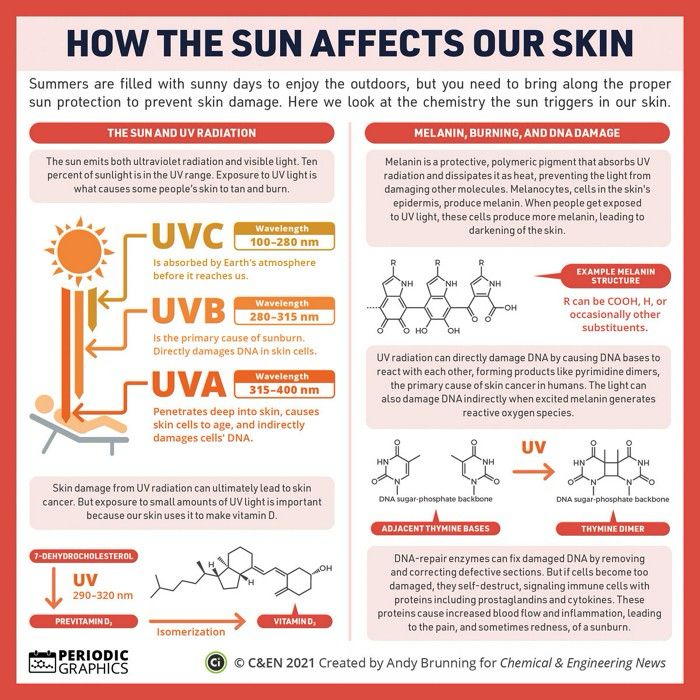 Infographic on how the sun affects our skin. The graphic highlights the different ranges of UV light and how it can both cause skin damage and lead to the synthesis of vitamin D. It goes on to highlight how melanin absorbs and dissipates the energy from UV light and how UV light can damage DNA.