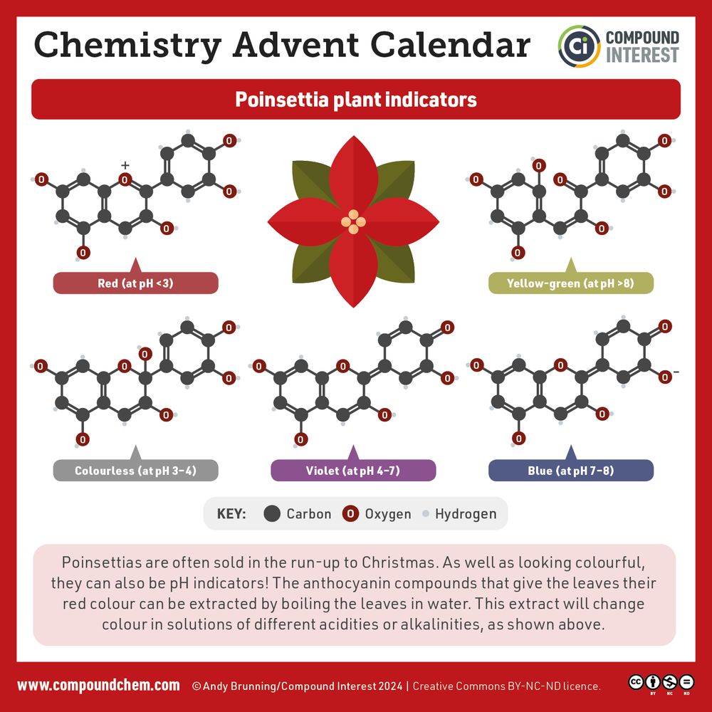 Infographic showing the different structures of the anthocyanin compounds in poinsettia plants at different pH values.