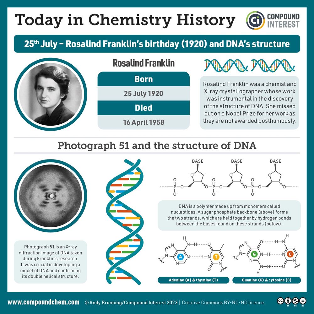 Today in Chemistry History graphic on Rosalind Franklin and the structure of DNA. Rosalind Franklin was a chemist and  X-ray crystallographer whose work was instrumental in the discovery of the structure of DNA. She missed out on a Nobel Prize for her work as they are not awarded posthumously. Photograph 51 is an X-ray diffraction image of DNA taken during Franklin’s research. It was crucial in developing a model of DNA and confirming its double helical structure. 