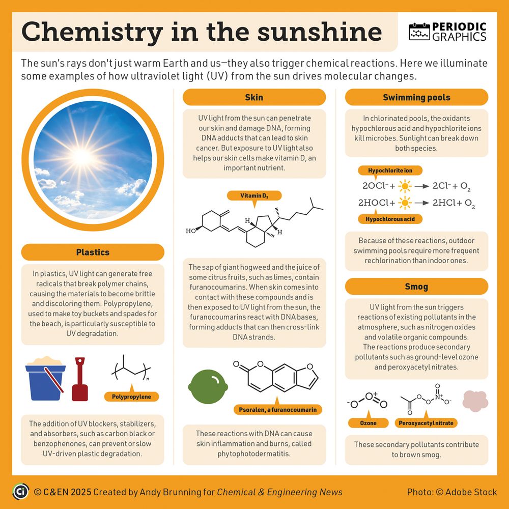 This graphic describes chemical reactions triggered by ultraviolet light from the sun. These reactions include those that break down plastics, aid the production of vitamin D, cause skin burns from the sap and juices of some plants, decompose swimming pool chlorination, and form components of brown smog compounds.