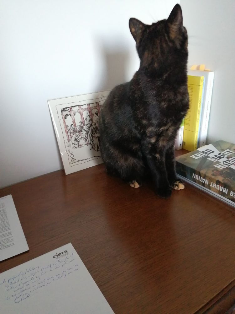 Mon chat fait l'innocente en regardant ailleurs après avoir tourné dans les sens sur le bureau