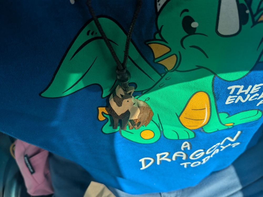 Our blue have you hugged a dragon today shirt with a wooden wolf necklace that was hand carved 