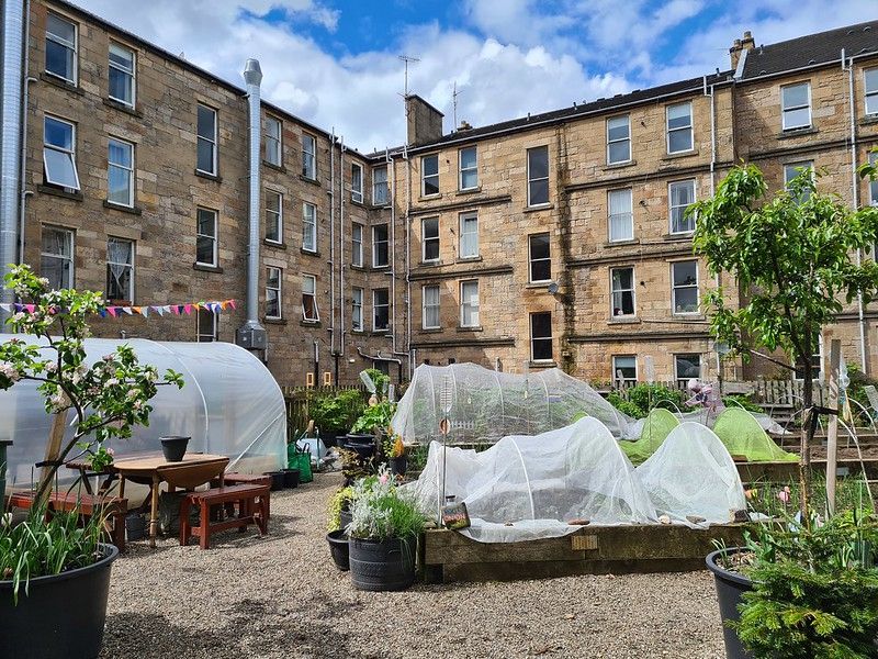 An urban garden with planters and shingle. A garden table sits next to a poly tunnel with a plant pot on top. In the background are tenement flats and colourful bunting