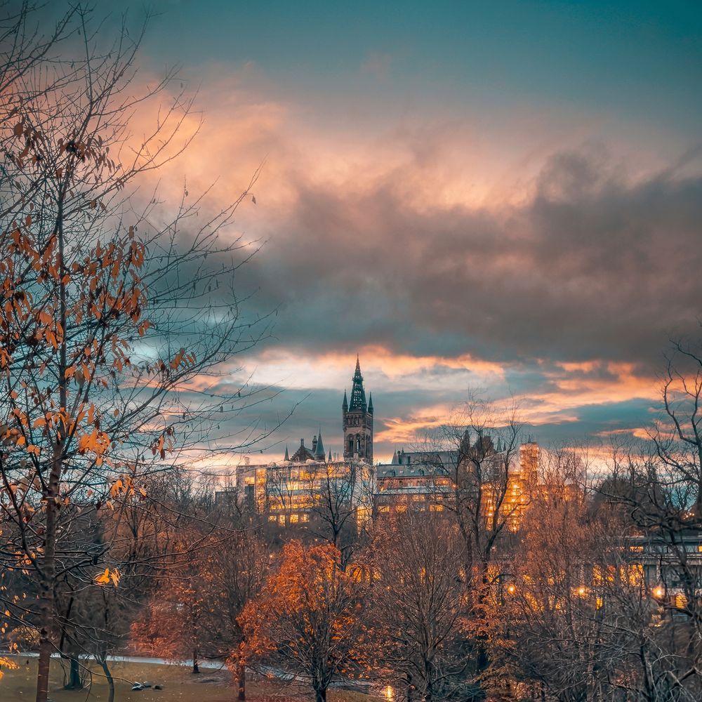 The UofG tower at sunset. In the foreground are autumn leaves in Kelvingrove Park. 