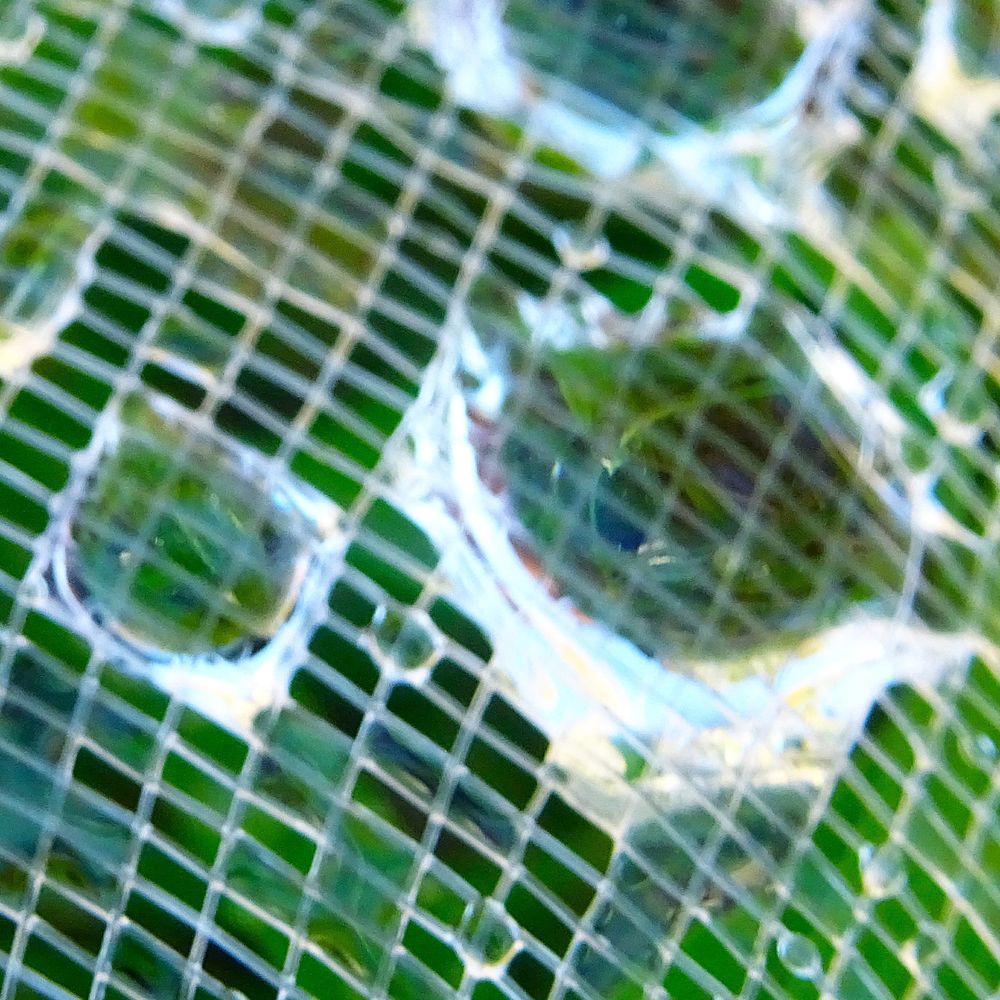 An out of focus close up of water droplets on white plastic mesh in front of a green grass background 