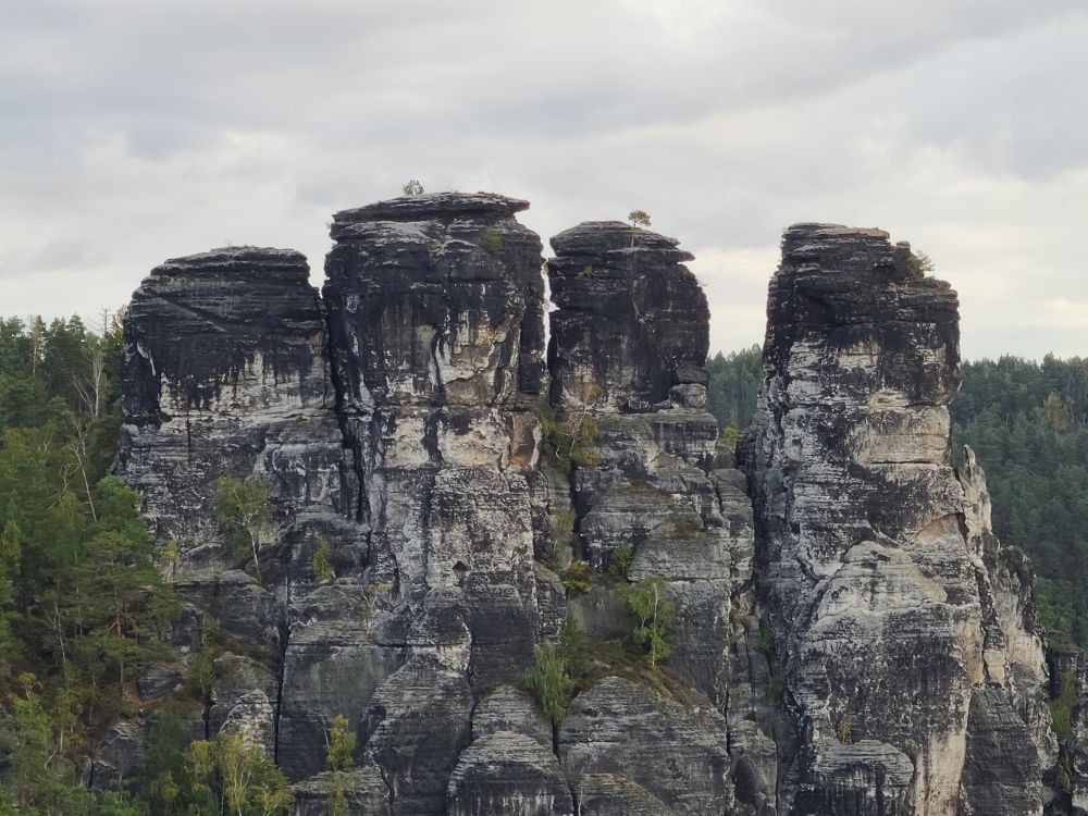 Four large cylindrical rocks in different shades of grey with single trees on top in front of a cloudy sky.