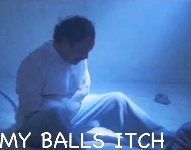 A scene capture from Cheech and Chong with the line "my balls itch"