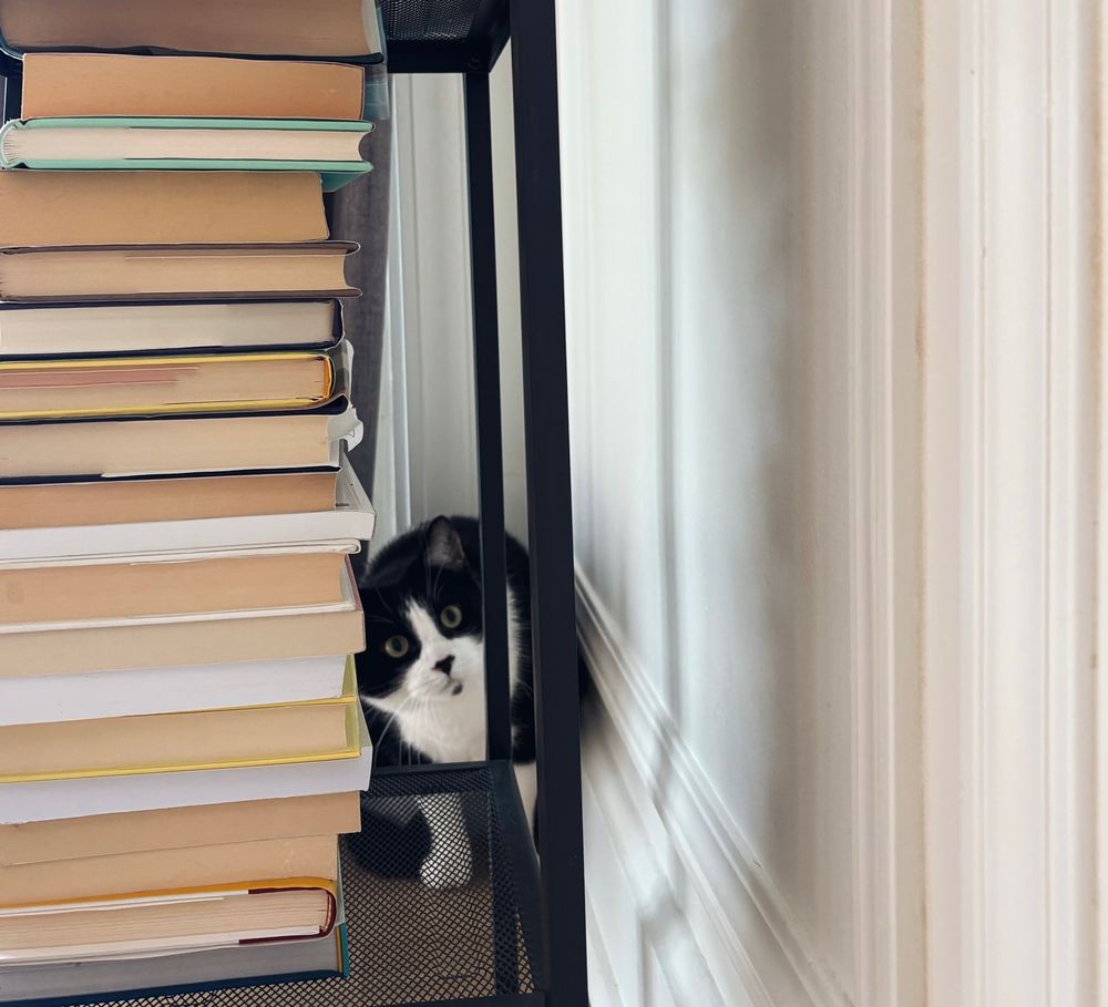 A black and white cat peering out from behind a grey bookshelf against a white wall. He’s couched down and only the sides of the books are showing. 