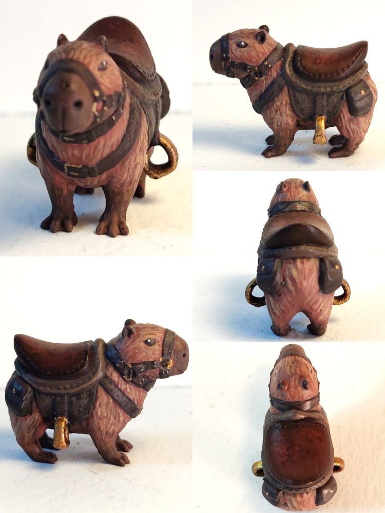 Capybara with a saddle. 