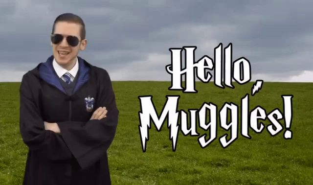 a man in a wizard costume is standing in a field with the words hello muggles