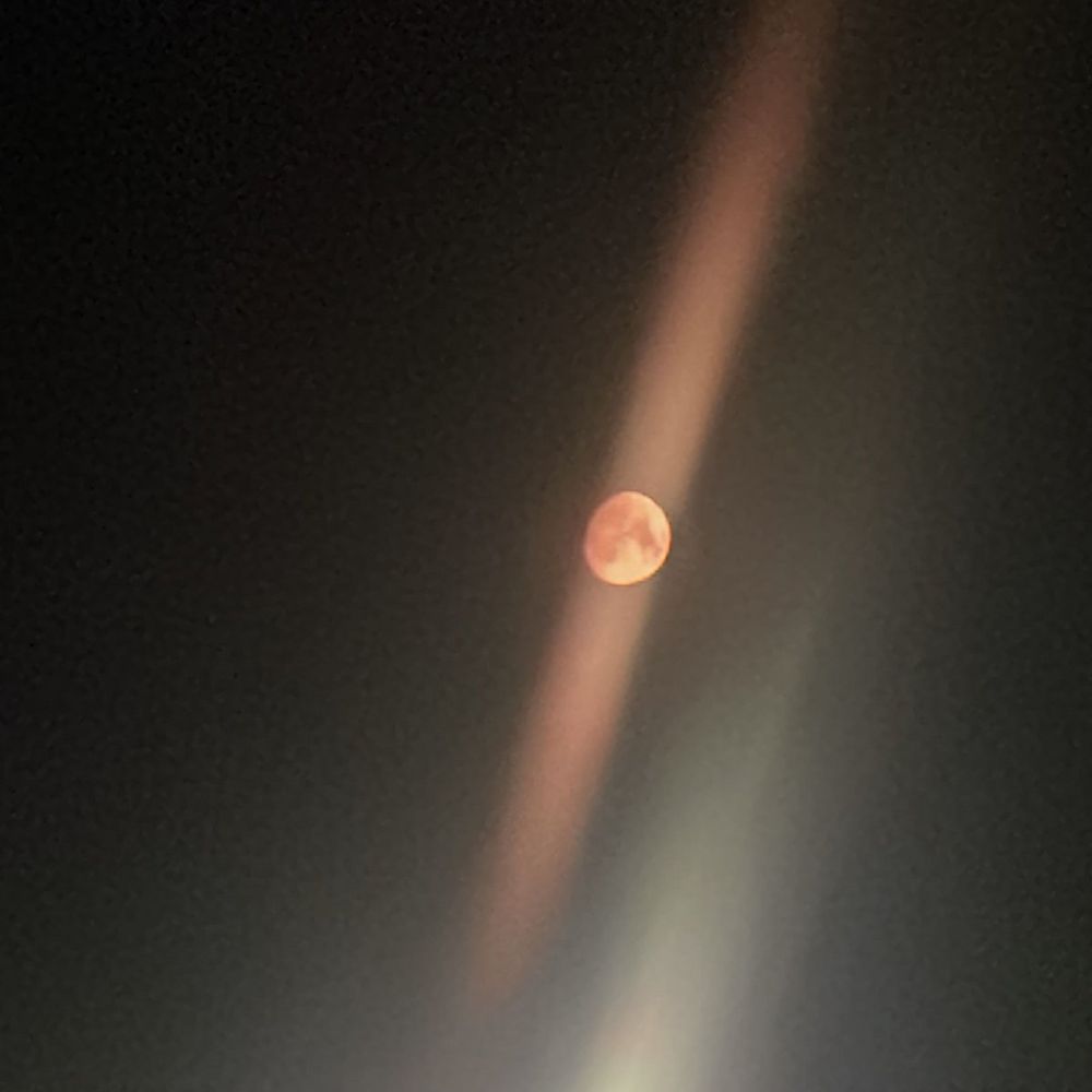  a bloody moon