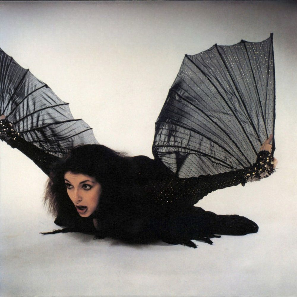 Kate Bush dressed as a bat on a white background 