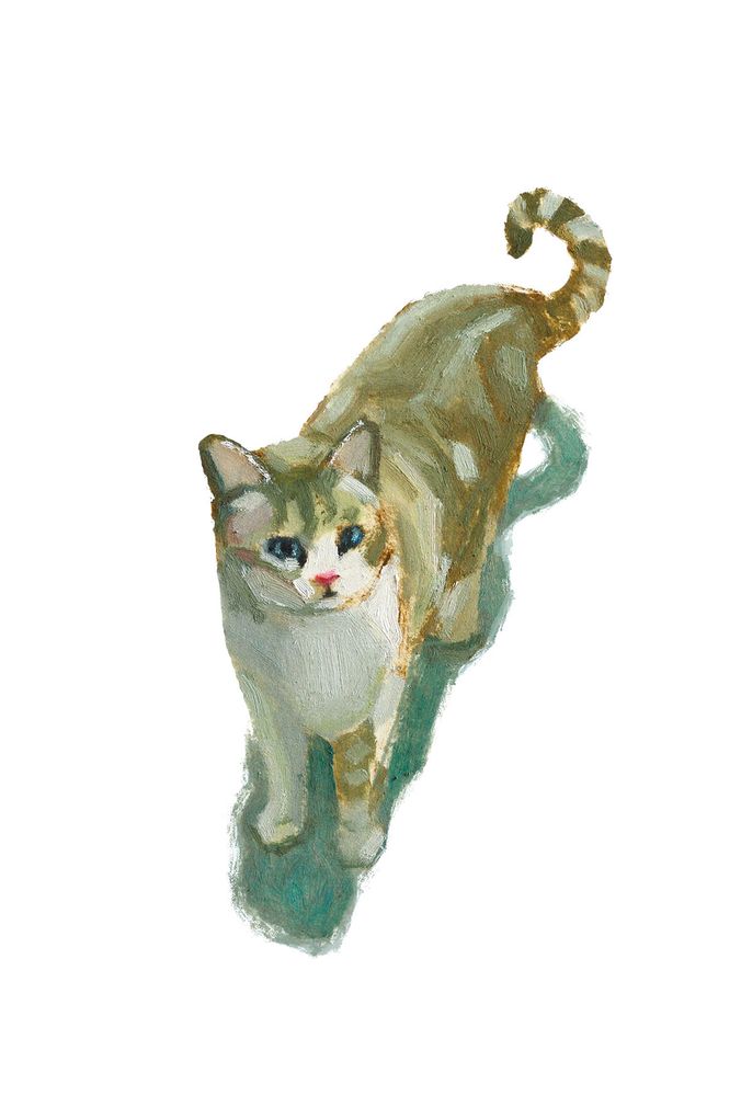 Simple oil painting of a beige/white cat on a white background, projecting a bluish shadow.