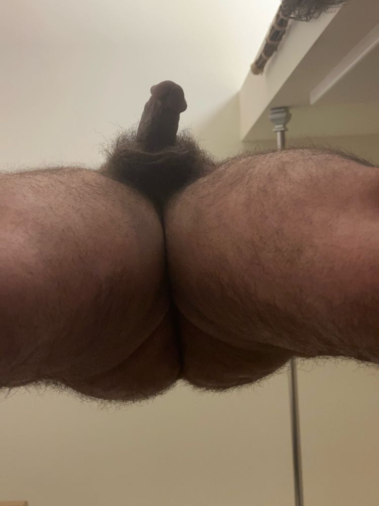 Upshot of butt, balls, and penis (all, hair-covered) 