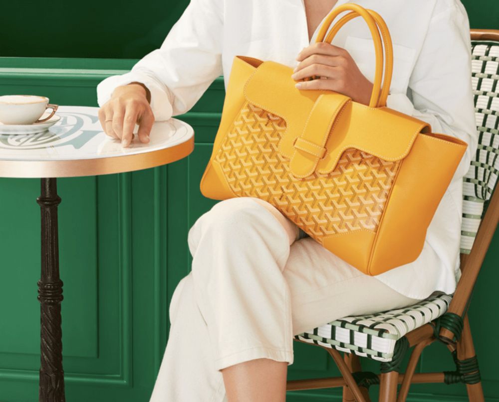 Shoe Surgeon Sheds Light on Defenses in Goyard Lawsuit