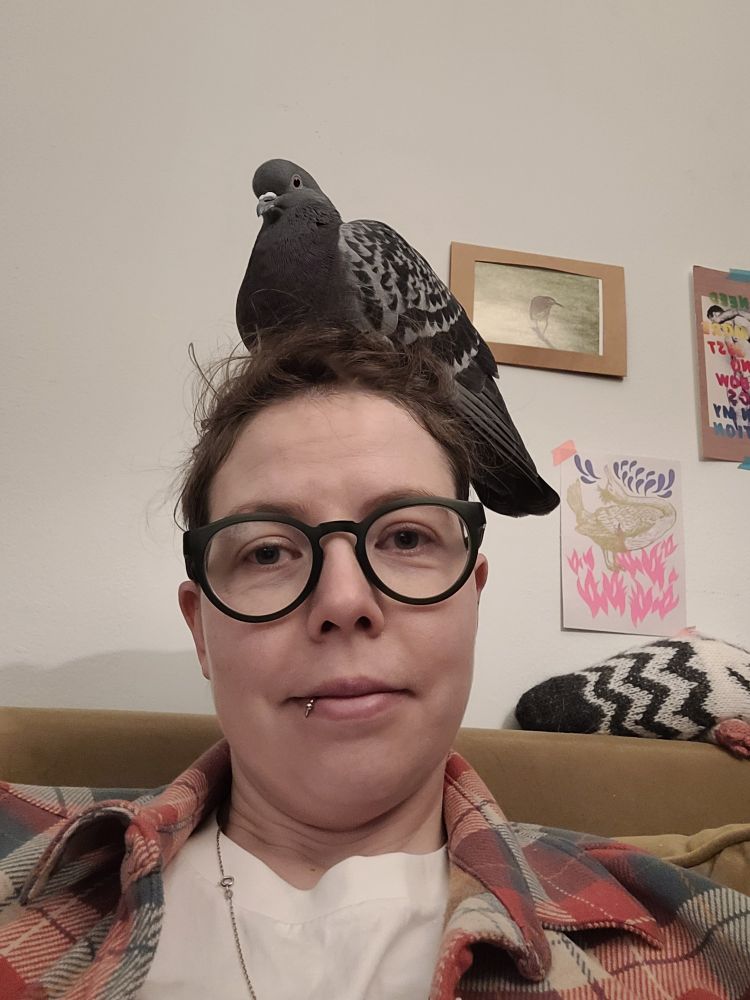 Person wearing glasses with a very cute pigeon resting on their head